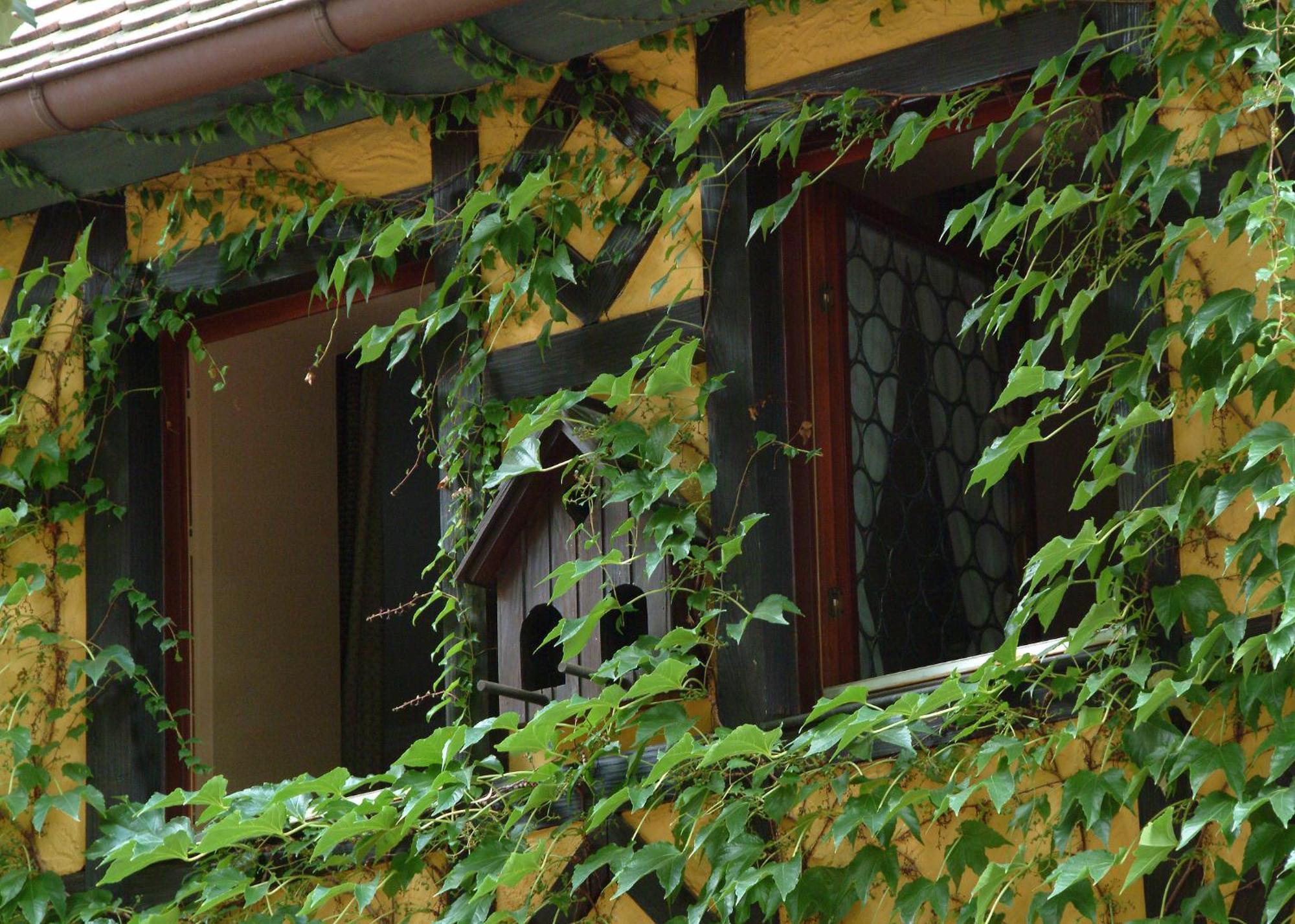 Hotel Leicht Biebelried Exterior foto